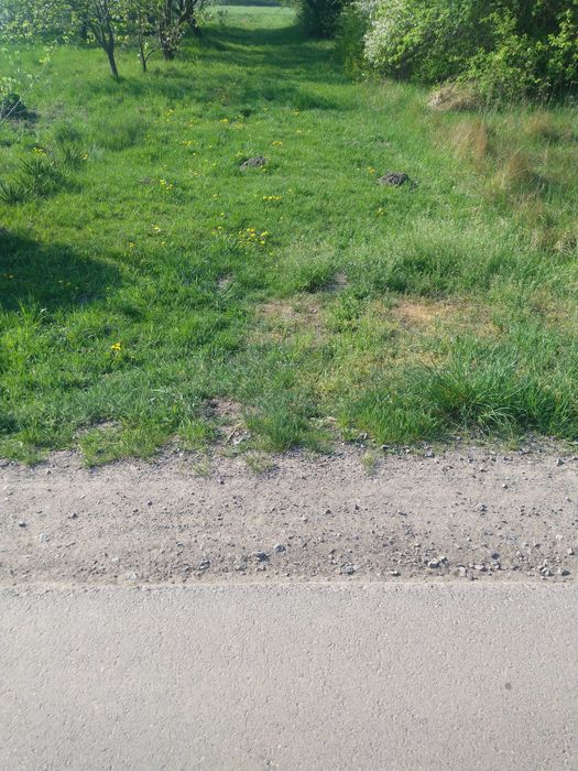 Teren do wysypania ziemi z wykopu / urobek z wykopów