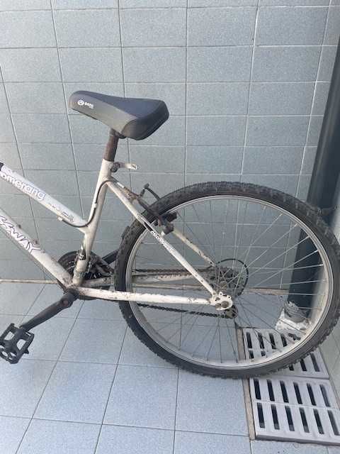 Bicicletas de menina