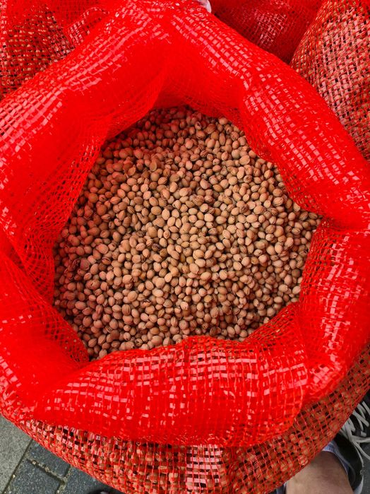 Pestka wiśni wkład do termoforów 1kg