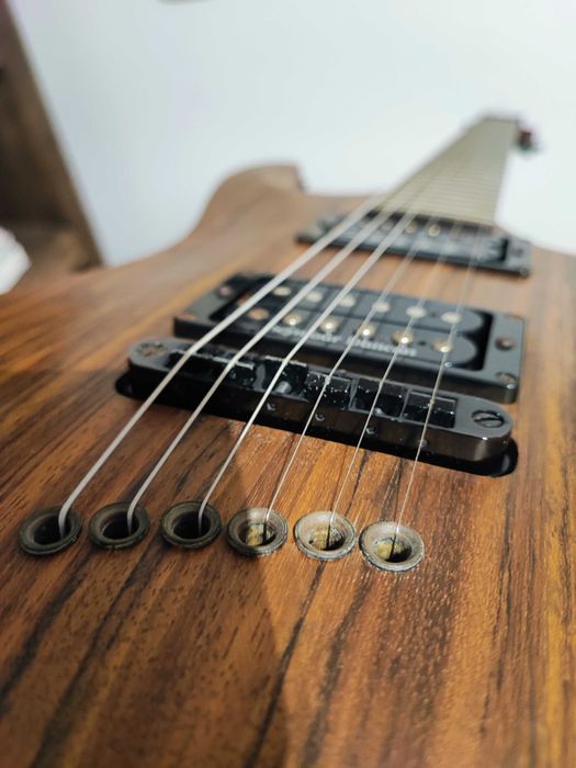 Guitarra Mayones Setius GTM Lizard Custom