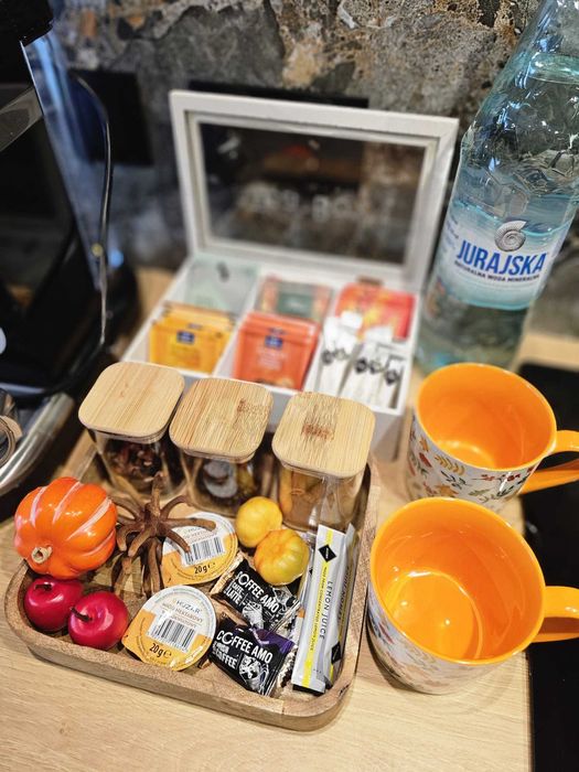 Apartament Mała Poleska Częstochowa ogródek, parking, klima, do 4 osób