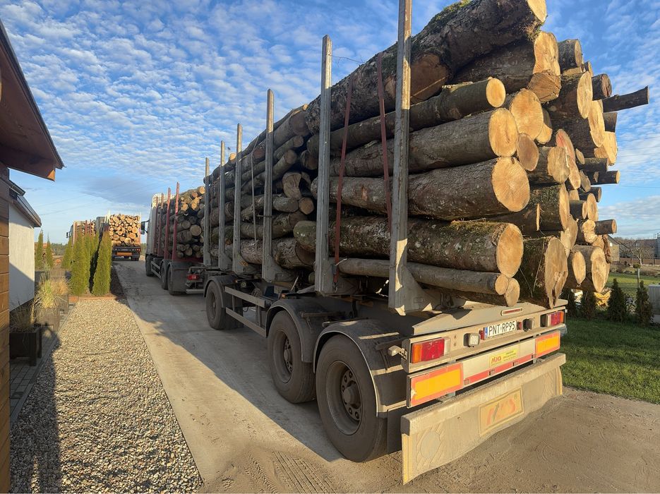 Drewno opałowe kominkowe  S2A s2aAP WDP - papierówka ,kłoda