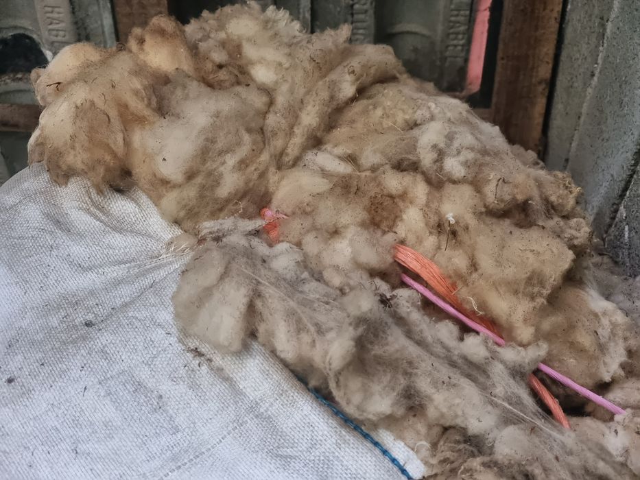 Oferta de Sacos Big-Bag com lã de ovelha