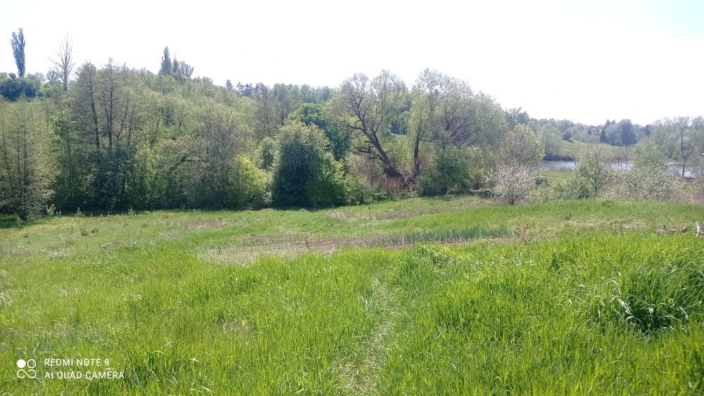 Продам будинок в місті Сквира