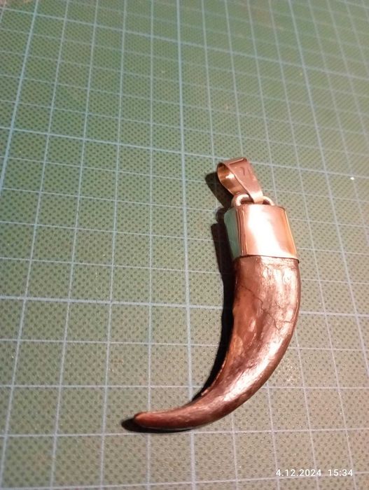 Pazur niedźwiedzia oprawiony w srebro 925