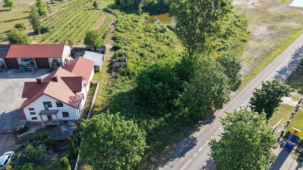 Działka pod zabudowe Przytyki - Widok 3