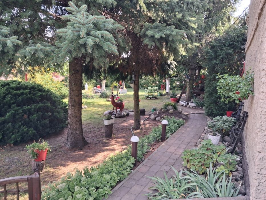 Dom z garażami i ogrodem