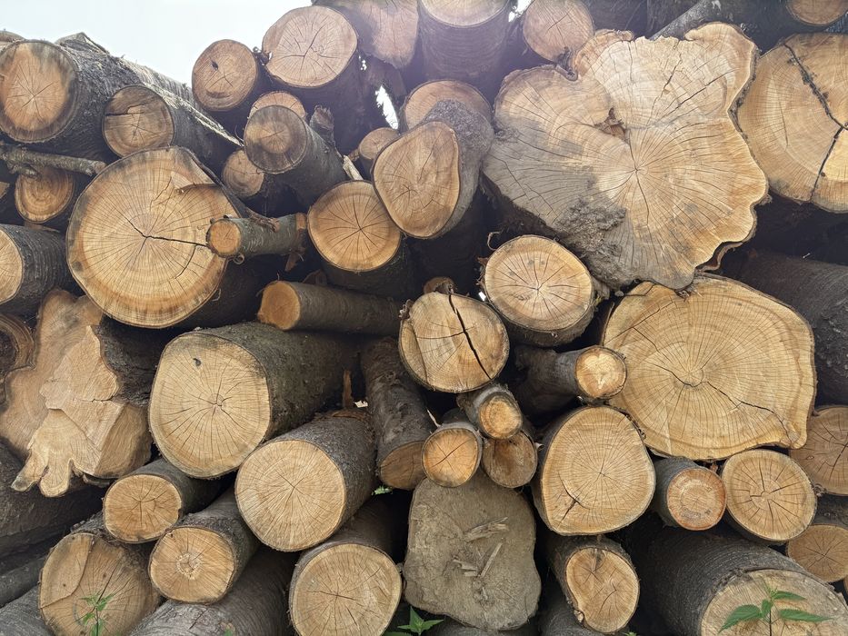 Дрова. Рубані. Черешня та інші породи