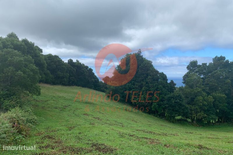 Venda Terreno