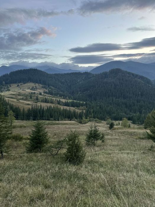 Ділянка біля Сховку під будову 22 сотки