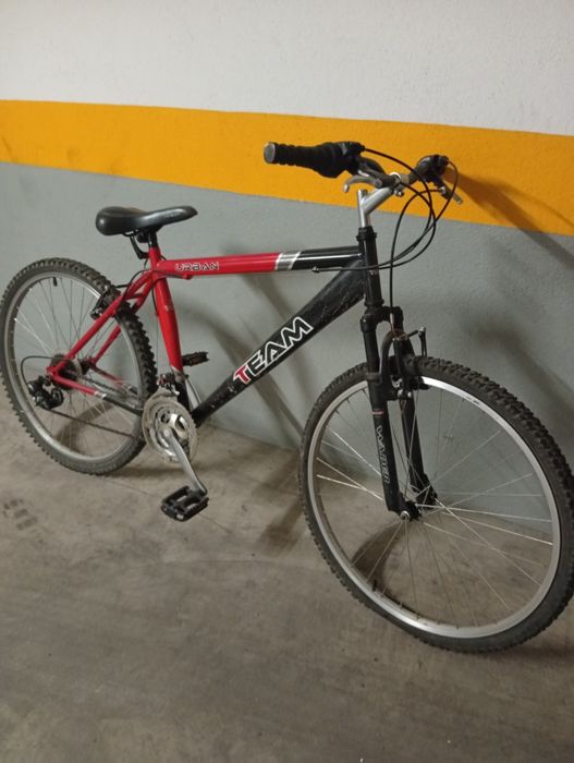 Bicicleta adulto