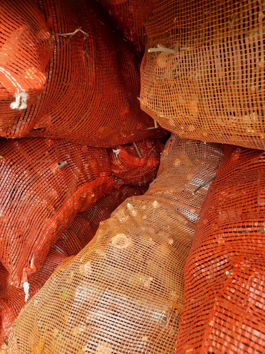 Drewno opałowe, suche, rąbane