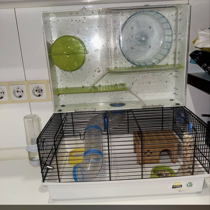 Хомяк з клітиною