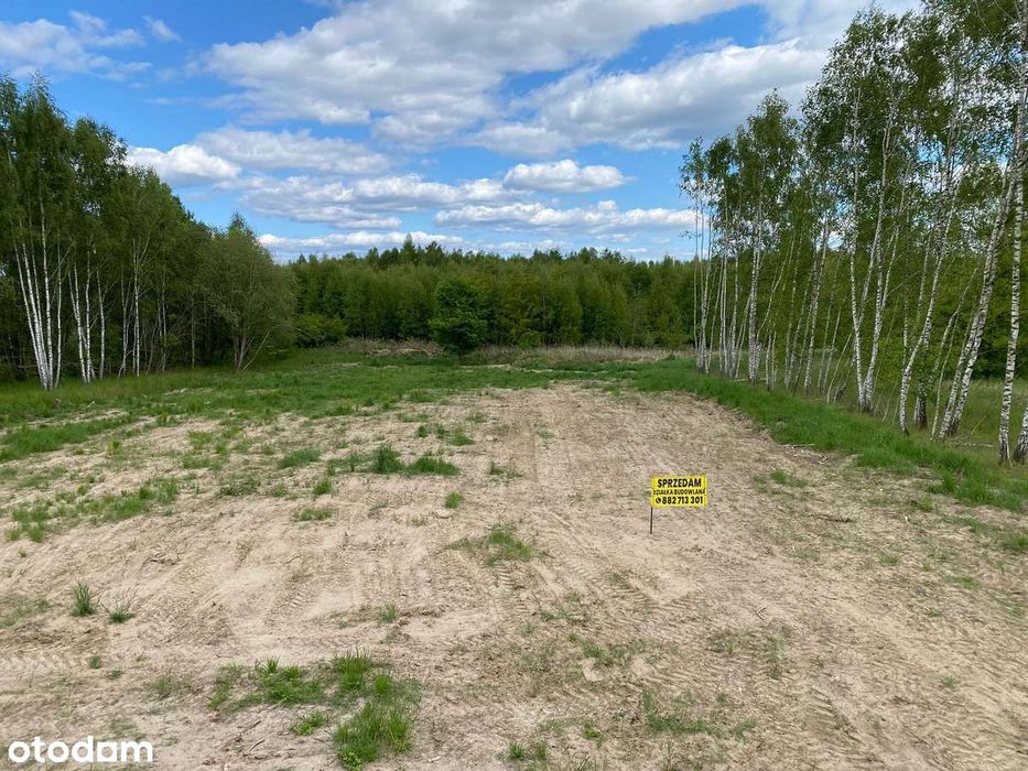 Działka budowlana nad jeziorem o powierzchni 2467 m² - Widok 4