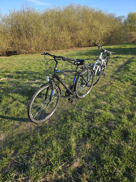 Rower Kross Trans 2.0 rama L