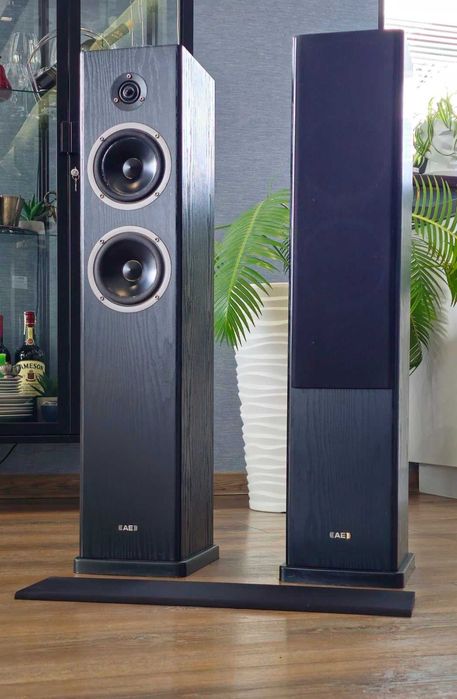 Колонки для підлоги АЕ (Аcoustic Еnergy Аegis Neo Three, 170 w, 8 om)