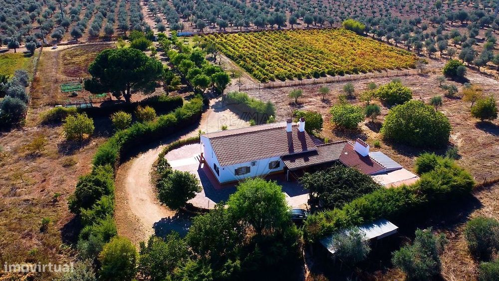 Quinta T3 para venda