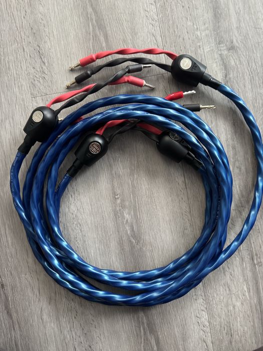 Kabel głośnikowy Wireworld Oasis 8 , 2x2,5 banan - banan