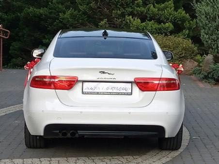 Wynajem auta na wesele jaguar xe 2017