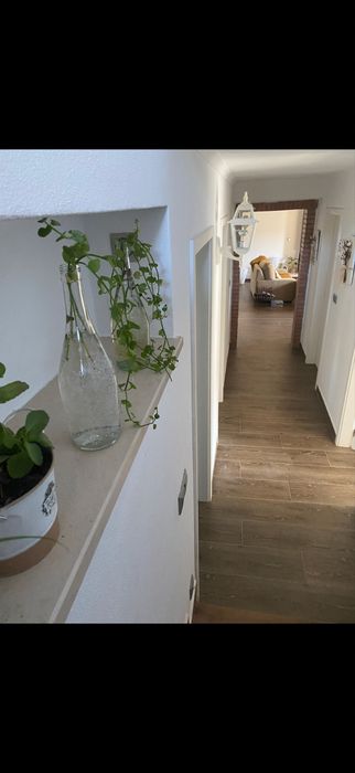 Vivenda no alentejo