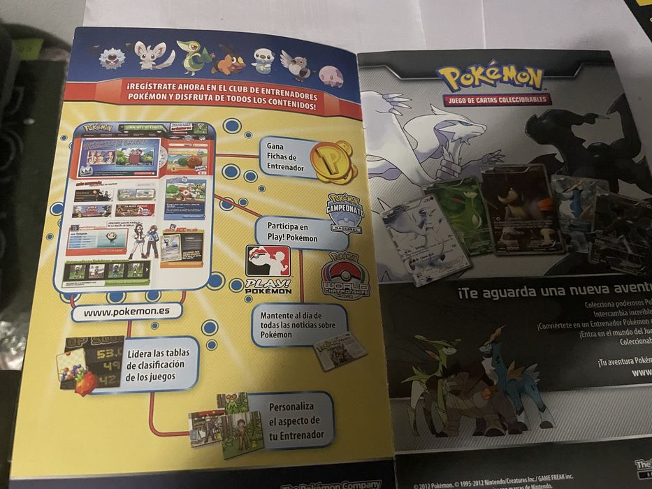 Folheto Pokemon Nintendo Ds/3Ds