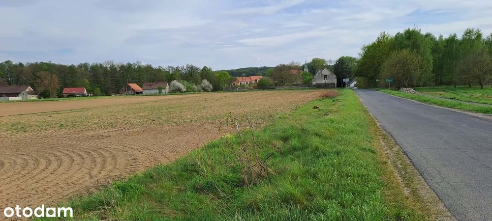 Działka Budowlana / Pozwolenie na budowę 4 domów - Widok 2