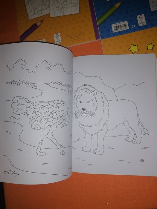 Раскраска Лошади. Раскраска в зоопарке. Розмальовки для дітей.