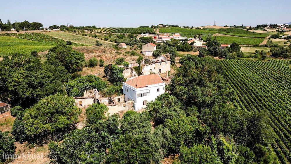 Quinta com 6,2ha Moradia T3 | Vinha e Potencial Turístico