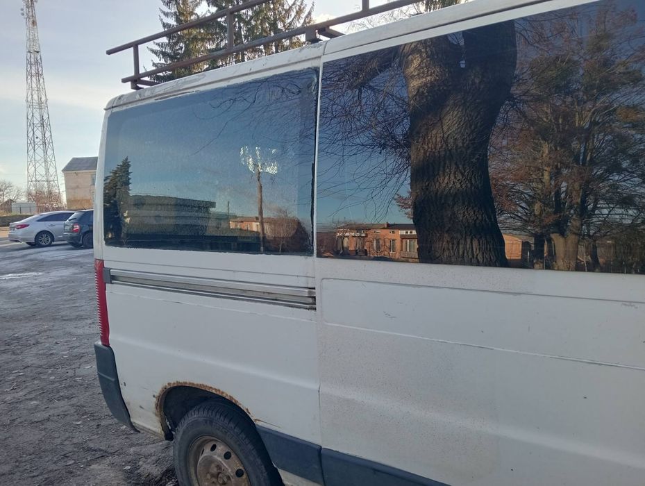 Продам пижо боксор