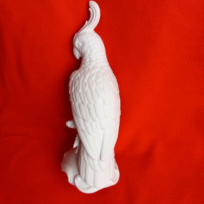 Casal de Catatuas e guarda Rios.V.A.