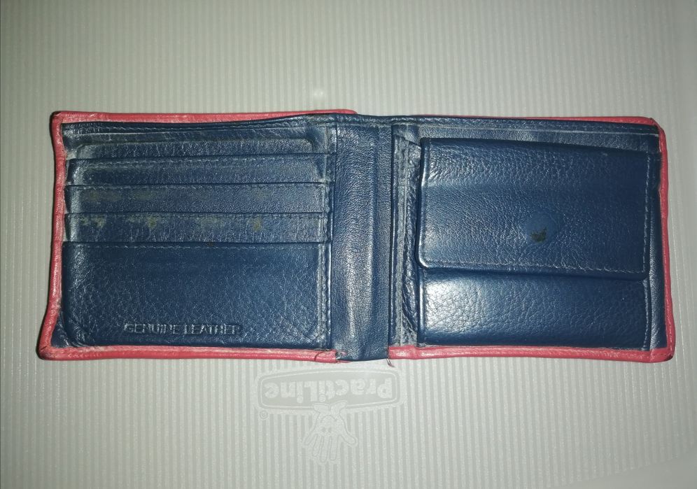 Carteira Lion of porches