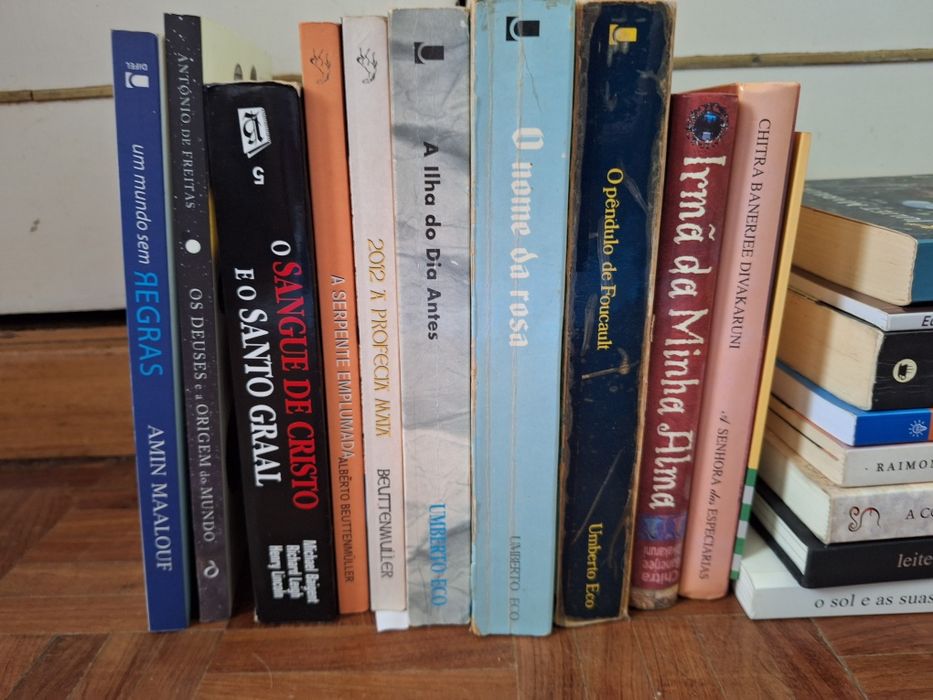Conjunto de livros variados