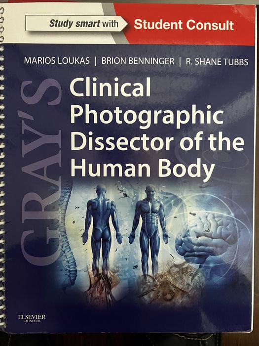 Gray’s clinical photographic dissector