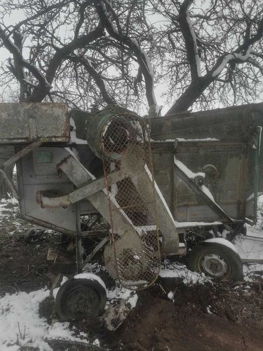 Молотарка польська.