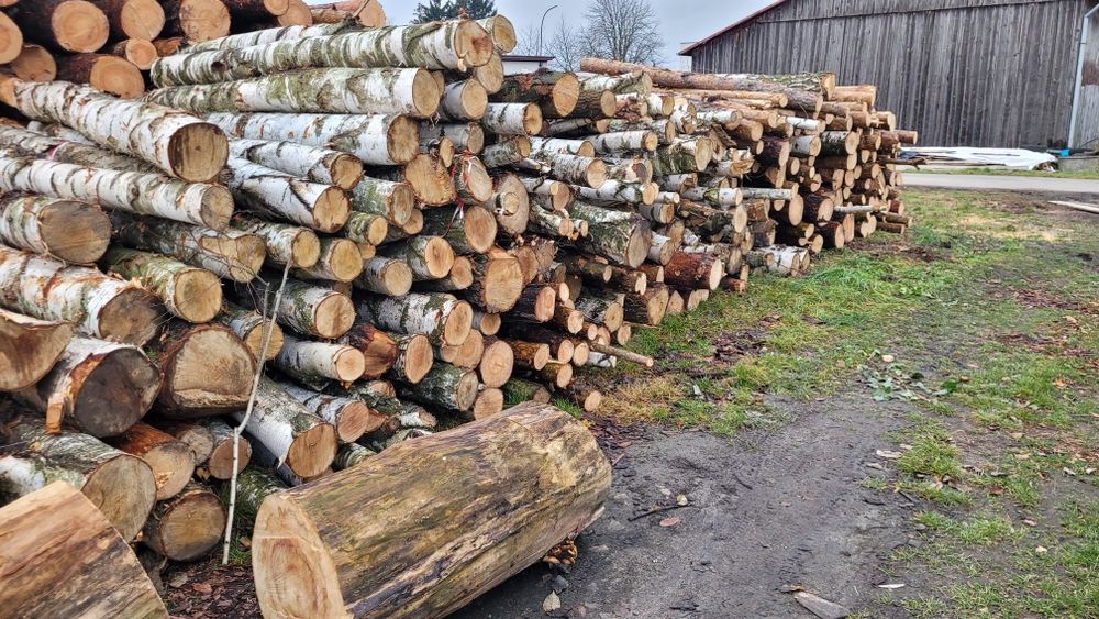 Drewno opałowe wałki Dąb Brzoza Klon Jabłoń Jesion Osika Sosna Wałki 1 metr transport wywrotka do 6 mp lub wałki 2.5 metra długości 25 mp lub 50 mp 
S