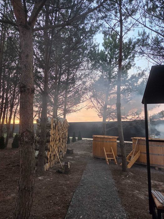 Котедж у сосновому лісі під Києвом. Камін. Вініл. Чан. Баня