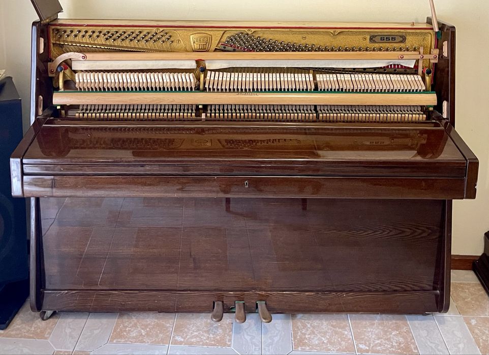 Piano  Nieer serie 655