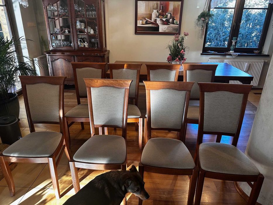 Krzesła BRW KENT kasztan 8szt - stan bardzo dobry