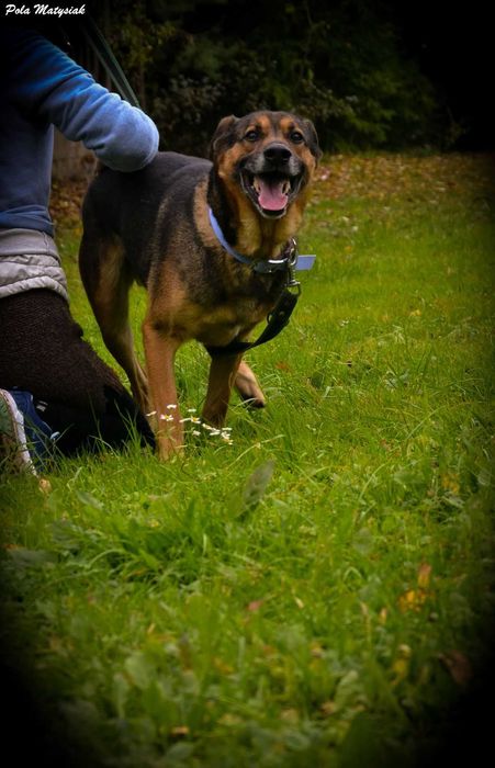 Szukamy spokojnego domku dla Nano ! !