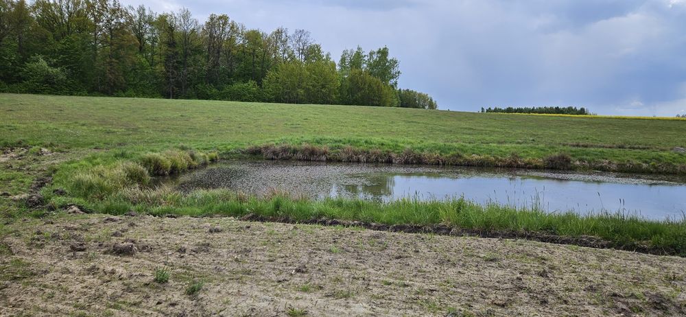 Sprzedam działki budowlane z WZ Bartoszyce - Lidzbark Warm. 4500 zł/ar