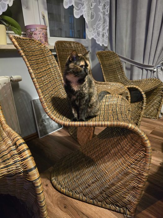 Krzesło/fotel naturalny rattan 4 sztuki *rezerwacja*