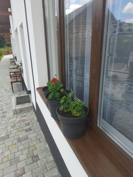 Котедж Гірська Вершина