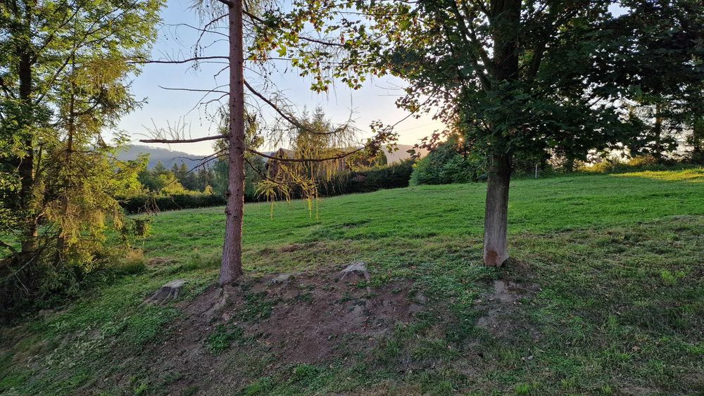 Działka budowlana 15 arów Glinka, Beskid Żywiecki – bezpośrednio bez prowizji, prytwatne - Widok 5