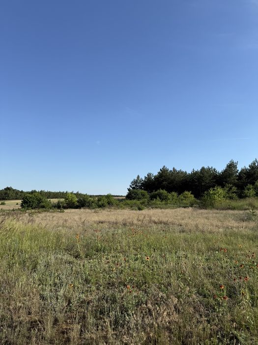 Działka budowlana , warunki zabudowy,lasek