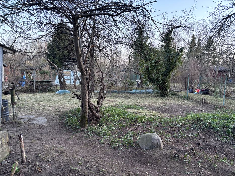 Działka rekreacyjna ROD Pancerniak Sulejowek - Widok 6