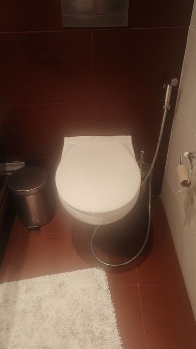 Loiça sanitária e
