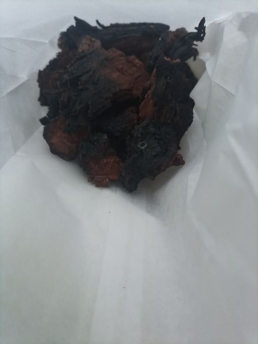 Czaga 100 gr (kawałki)