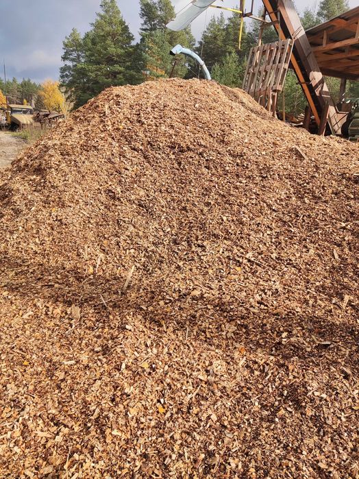 Щепа (тріска) паливна