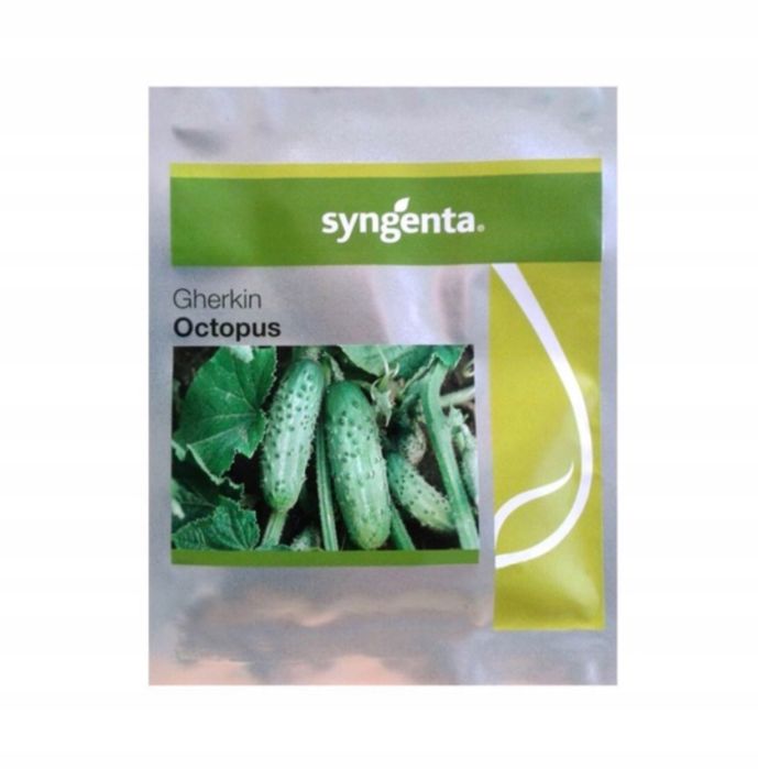 Nasiona Ogórek Octopus 5 tys -Syngenta !