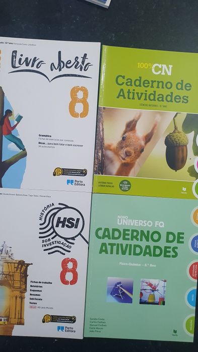 Cadernos fichas/atividades 7, 8 e 9 anos varias disciplinas
